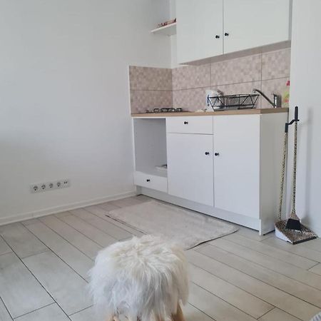 Cute Modern Apartman Zagreb Apartment Екстериор снимка